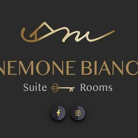 Finestra Sull'Adamello Apartment Passo del Tonale Luaran gambar